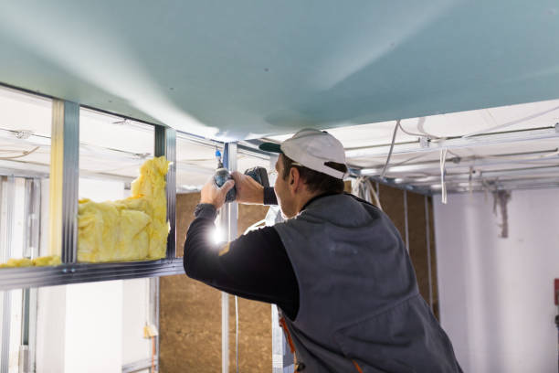Best Residential Insulation in St Paul, MN